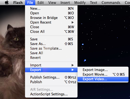 Tutorial Image 2 - Flash exporting menu